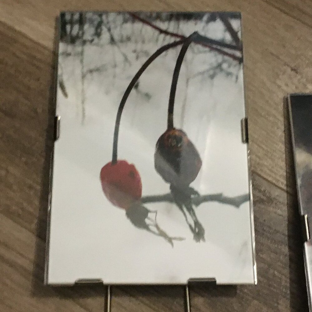 Lot of 3 Glass Metal Photo Frames Canadian Winter Nature Photography Cabin Art - Picture 7 of 9